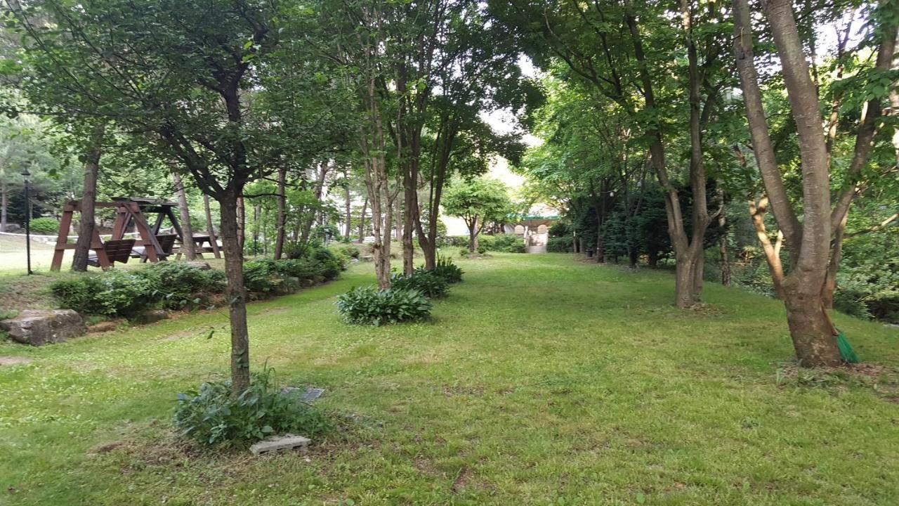 Shinevalley Pension & Hotel 平昌郡 エクステリア 写真