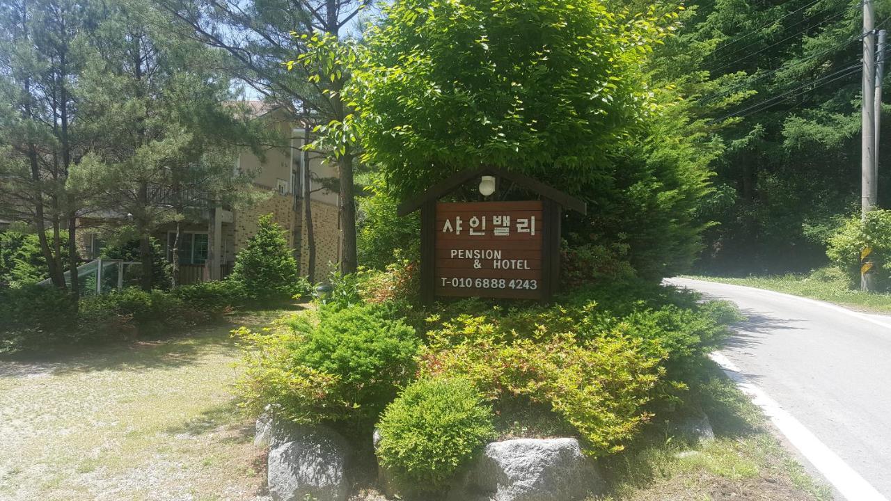 Shinevalley Pension & Hotel 平昌郡 エクステリア 写真