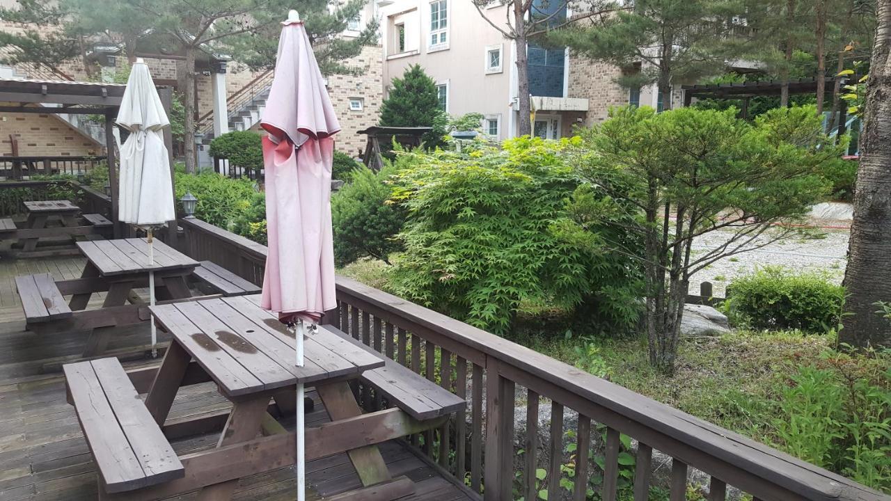 Shinevalley Pension & Hotel 平昌郡 エクステリア 写真